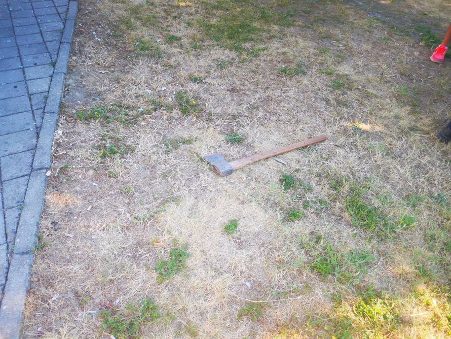 Sjekirom mu uništio Audi jer mjesecima nije dobio plaću?