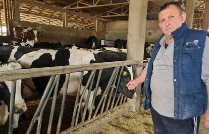 Stočari očajni, prisiljeni su svoje farme zatvoriti: 'Bojim se da ću stoku morati dati u klaonicu...'