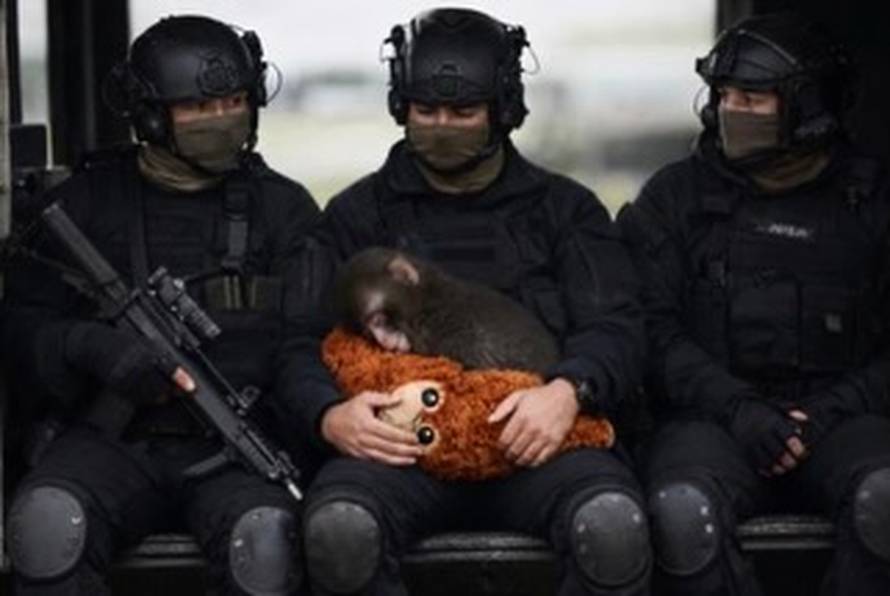 FOTO Majmunčića Puncha sjetila se i Hrvatska vojska! Pogledajte