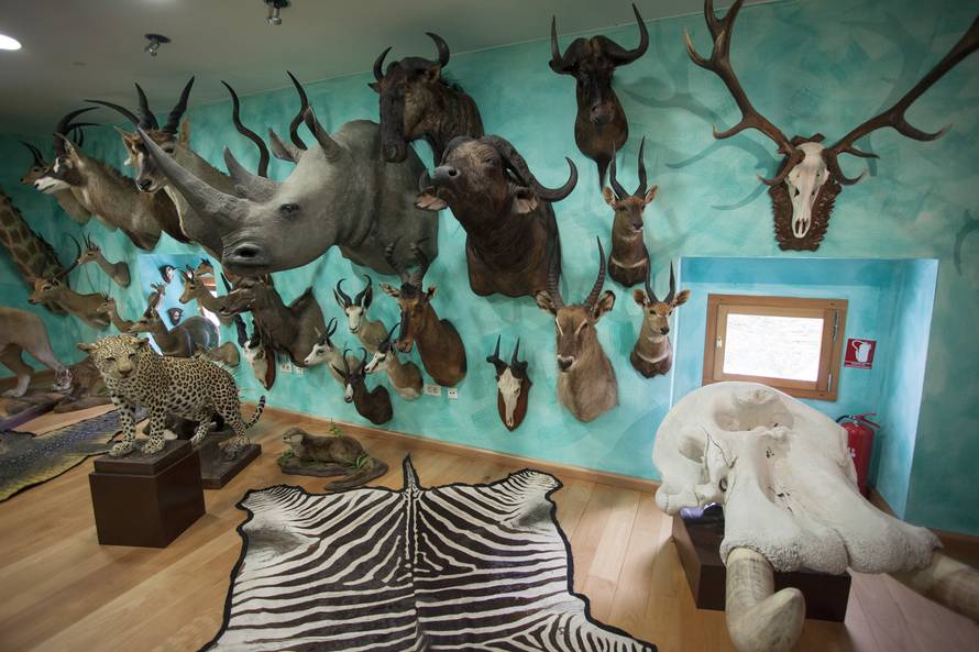 Nitko ne želi trofeje riječkog tajkuna: Djecu su užasavali...