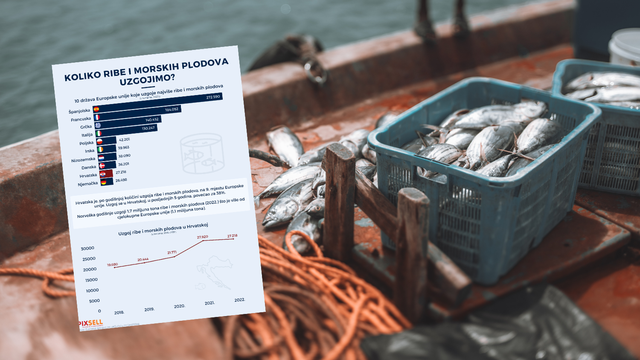 Španjolska prva po proizvodnji ribe, ali i Hrvatska je u top 10