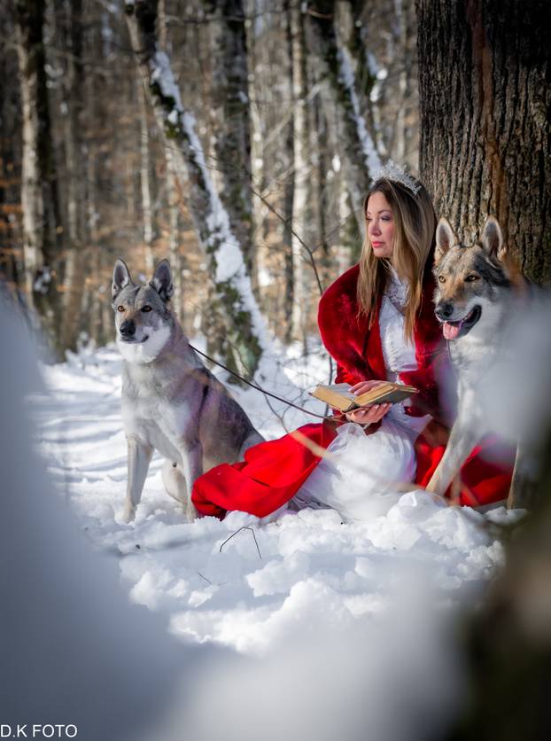GALERIJA Nastali su od vukova, rođaci su Nazgula s Olimpijskih igara i žive kraj Velike Gorice!
