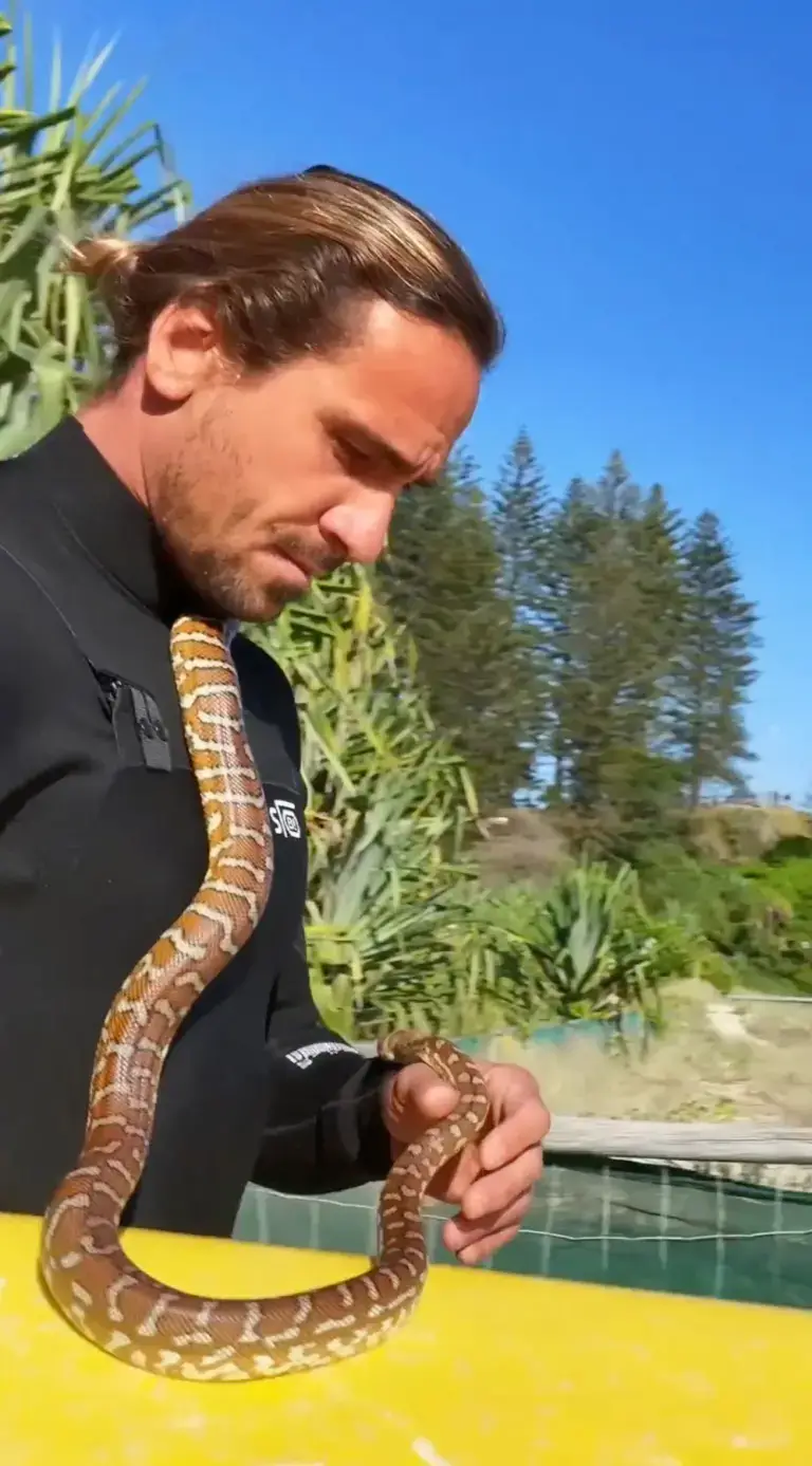 VIDEO Muškarac surfao na dasci sa zmijom pa dobio kaznu od 1400 €: 'Moja Shiva voli vodu!'