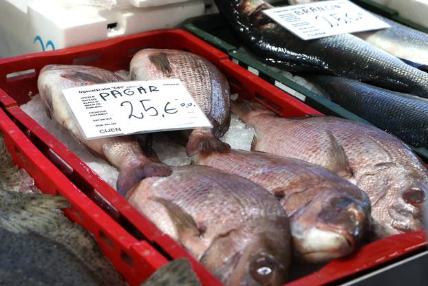 Šibenik: Ponuda ribe na šibenskoj ribarnici