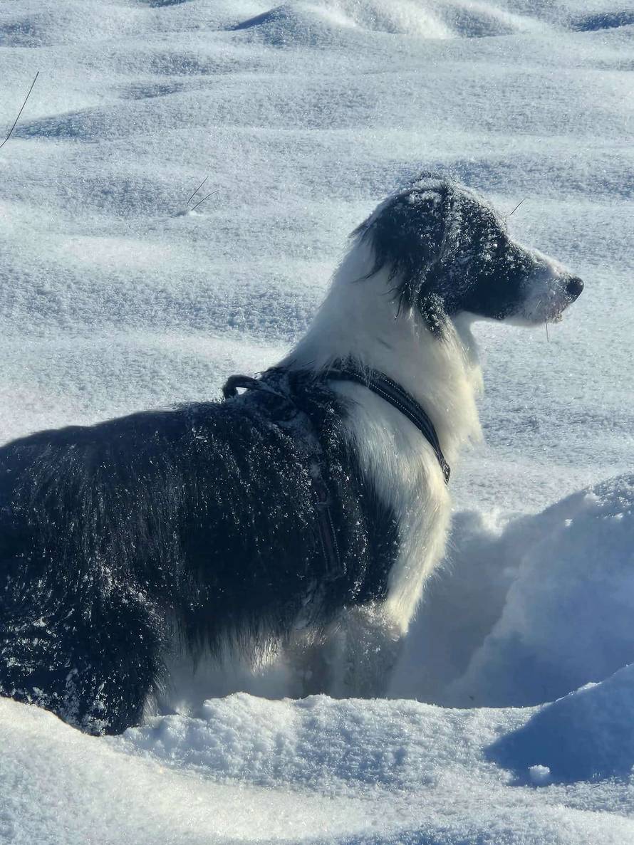 Općinska komunalka sama 'izlopatala' snijeg sa staze: 'Nema nikakve drame u tome'