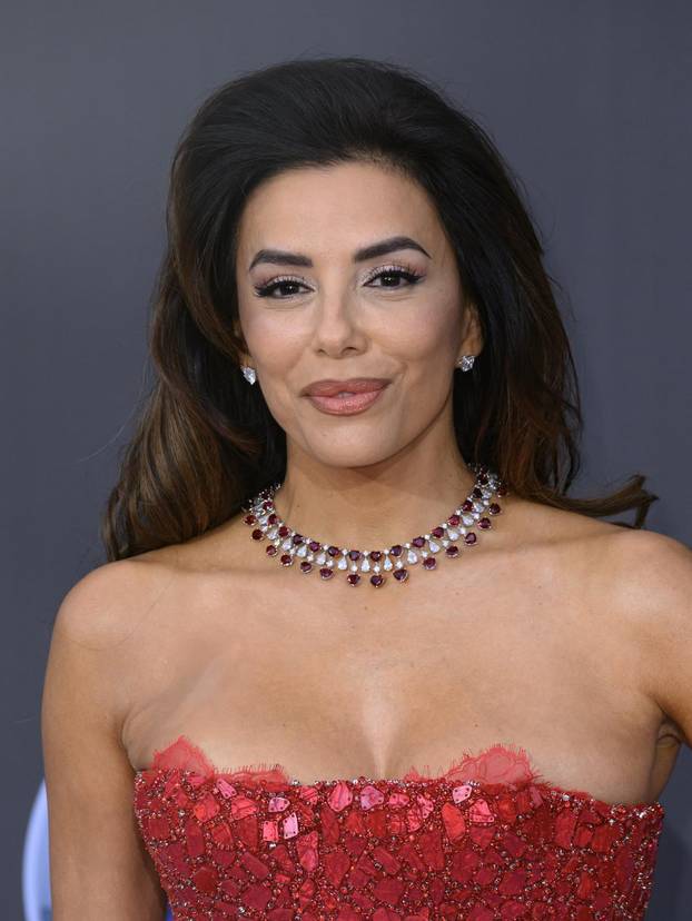 amfAR Gala Cannes 2026 - Cannes Film Festival