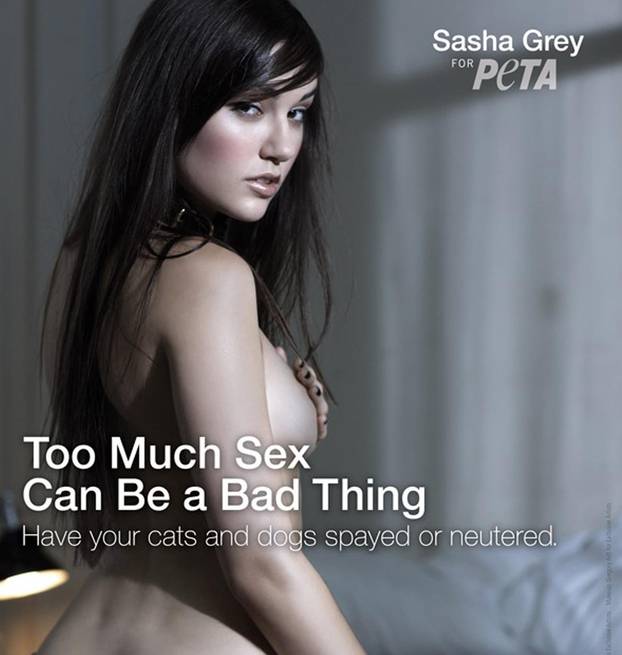 Famous porn star Sasha Grey gets naked for PETA