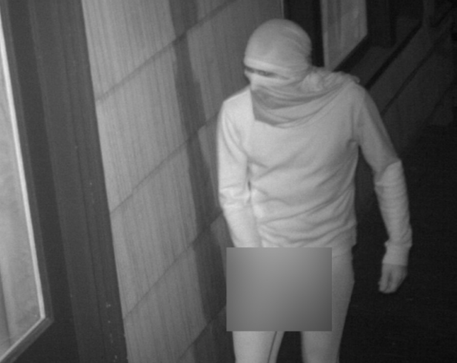 Bizarni slučaj: 'Tražimo nindžu koja masturbira u javnosti!'