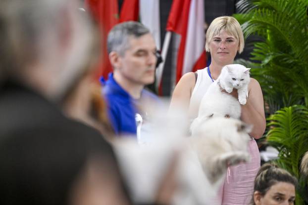 Zagreb: Međunarodna izložba mačaka WCF Cat Olimpia 2025