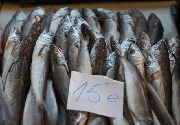 Šibenik: Ponuda ribe u šibenskoj ribarnici