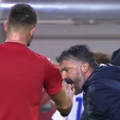 VIDEO Bijesni Gattuso poludio na suca. Poljud izviždao Patrika Kolarića i vikao 'cigane, cigane'