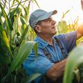 Poljoprivrednici požurite: još danas možete ugovoriti super-napredno osiguranje od suše