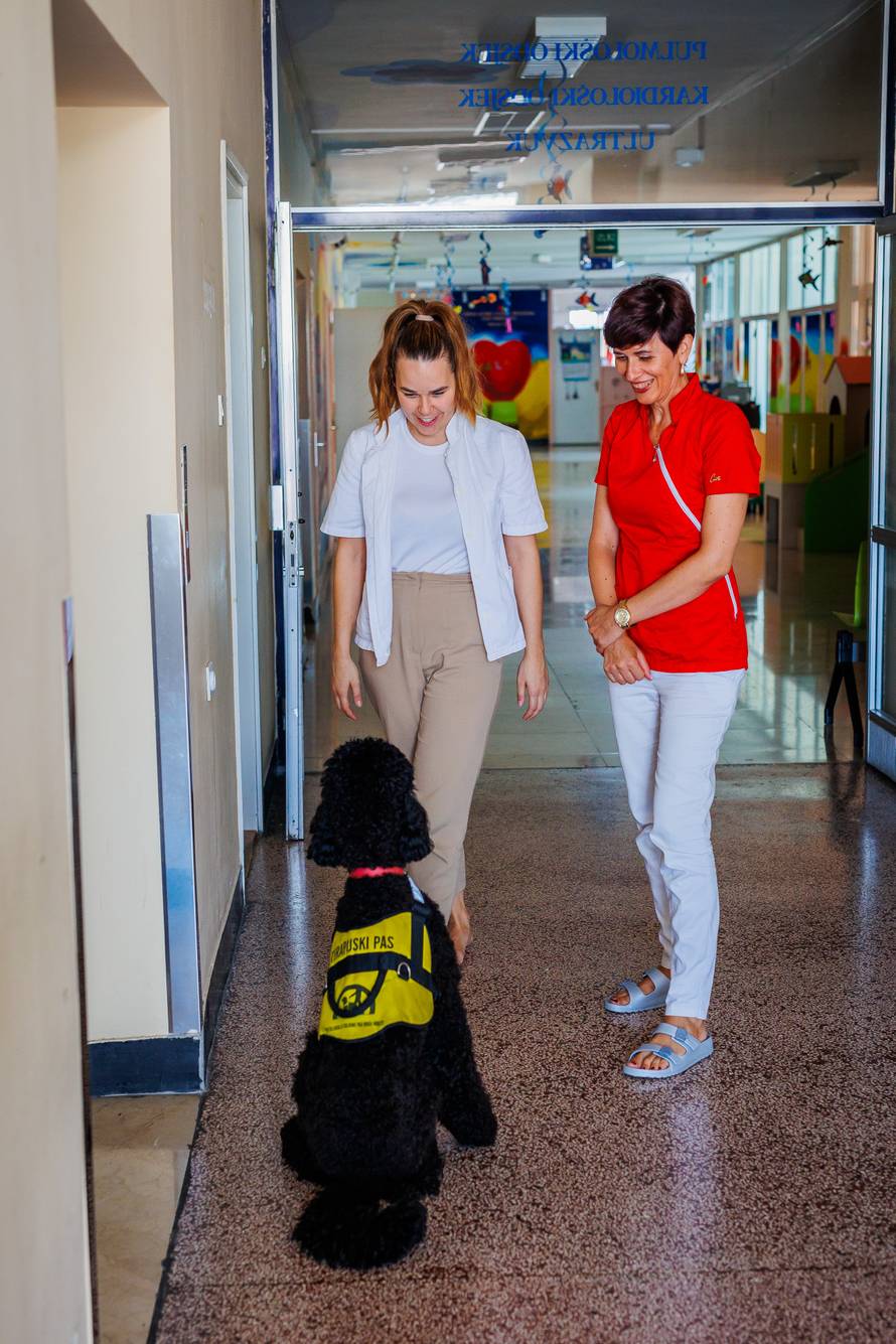 Split: Terapijski pas Dora i terapeutkinja Matea Vidak
