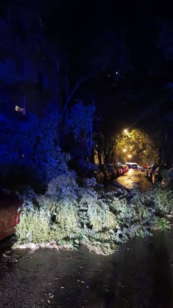 VIDEO Pogledajte oluju u Splitu:  Vjetar čupao stabla, neka pala na aute. Ulice bile  poplavljene!