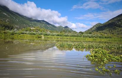 FOTO Obilne kiše poplavile su vinograde kod Vrgorca: 'Navikli smo i na gore, grožđe je dobro'