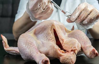 U Sloveniji otkrili salmonelu u piletini iz Hrvatske, obavijest stigla tek nakon dva tjedna