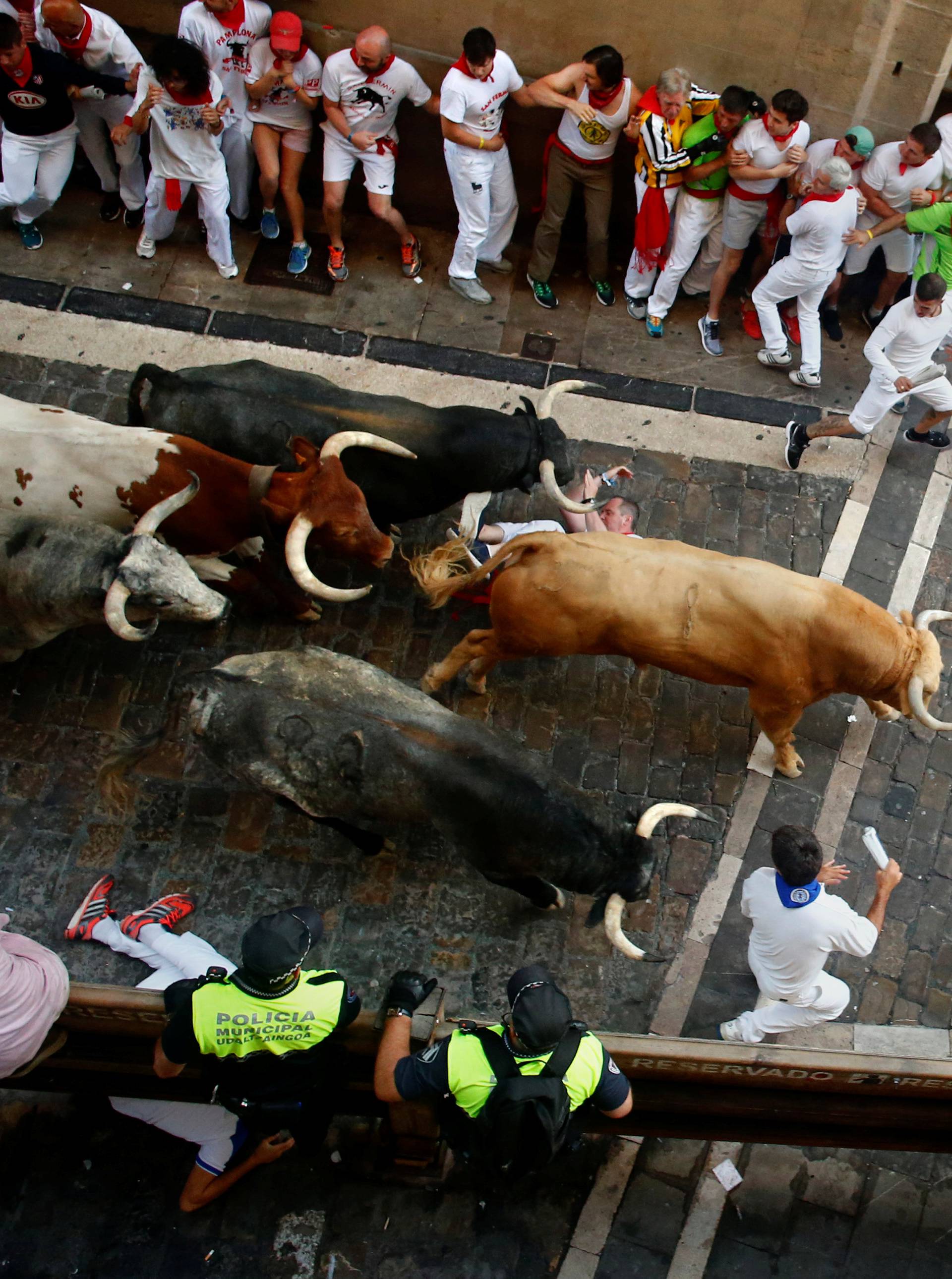 A runner falls under Cebada Gago bulls during the first running of the bulls at the San Fermin festival in Pamplona