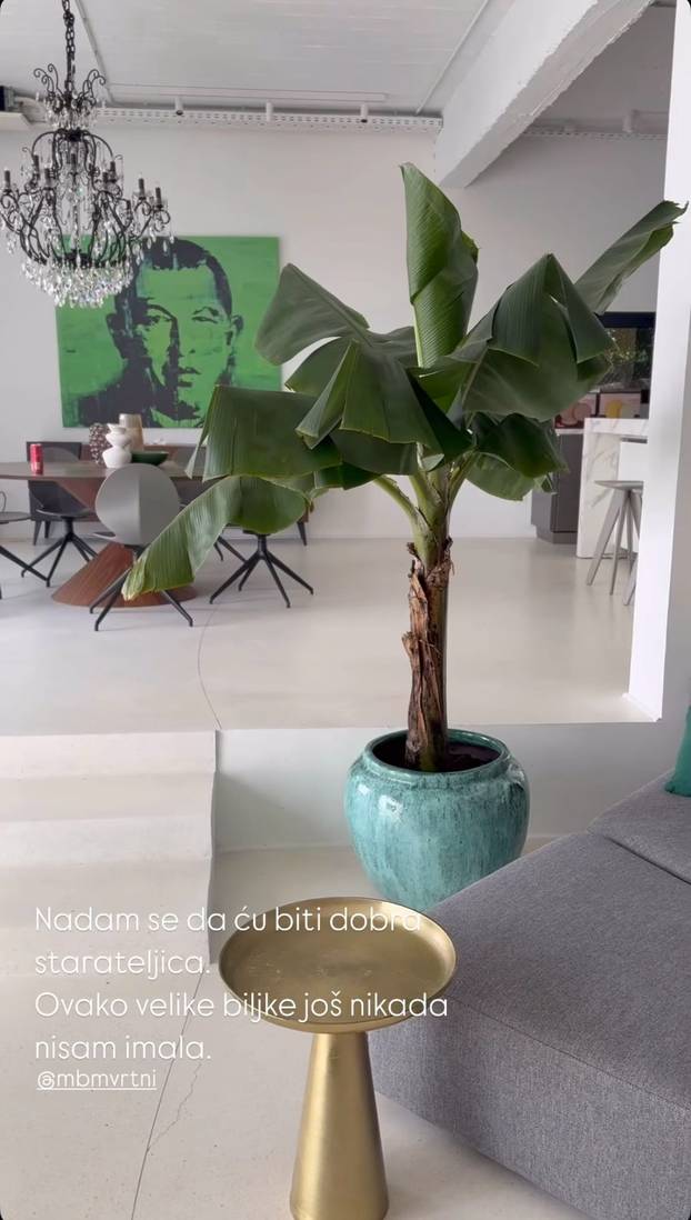 FOTO Zavirite u novoopremljenu kuću Nikoline Pišek! Na zidu su postavljene zanimljive slike...