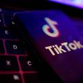 Nizozemski državni službenici neće smjeti koristiti TikTok na svojim službenim mobitelima