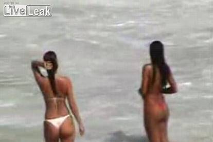 Seksi preplanule Brazilke uživaju na pješčanoj plaži