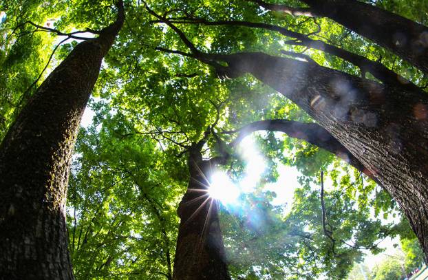 Na današnji dan obilježava se Dan planeta Zemlje
