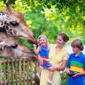 Dan ljubitelja zooloških vrtova: Prvi zoološki otvoren je u Beču