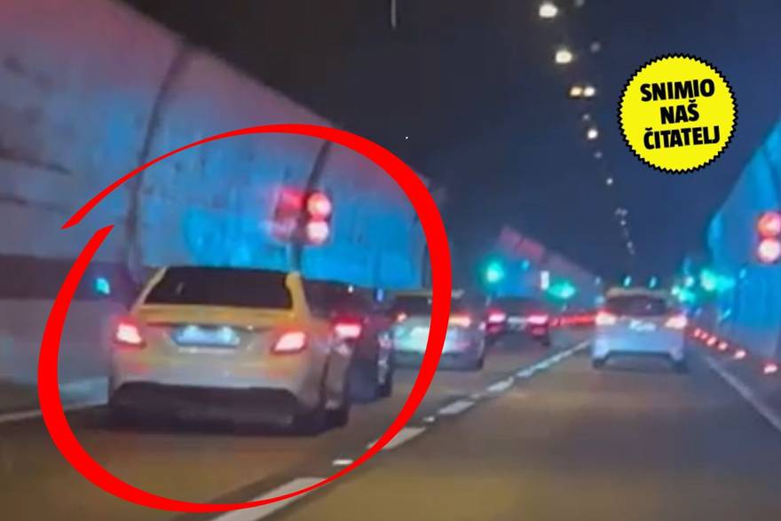 Divljak u Svetom Roku