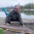 Ribič na Dravi upecao jesetru od 35 kilograma: 'Borili smo se 40 minuta, skakala je po rijeci'