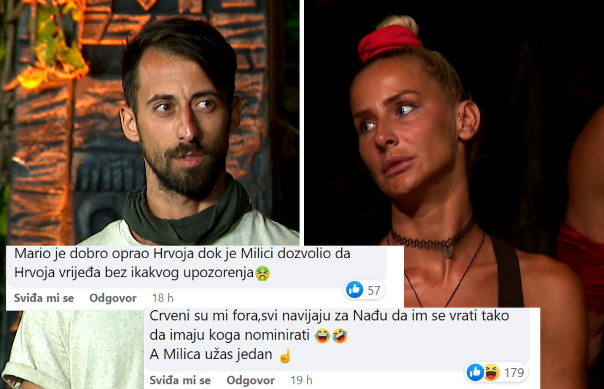 Milica: Budalo!; Hrvoje: Nema smisla da pčela objašnjava muhi da je med bolji od drekeca