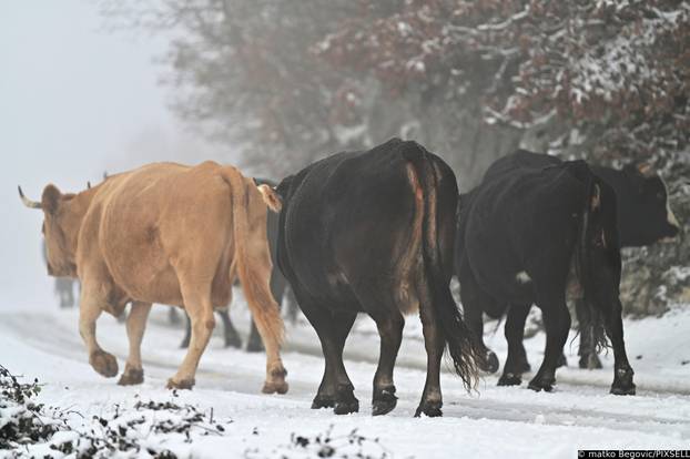 Na Biokovu pao novi snijeg
