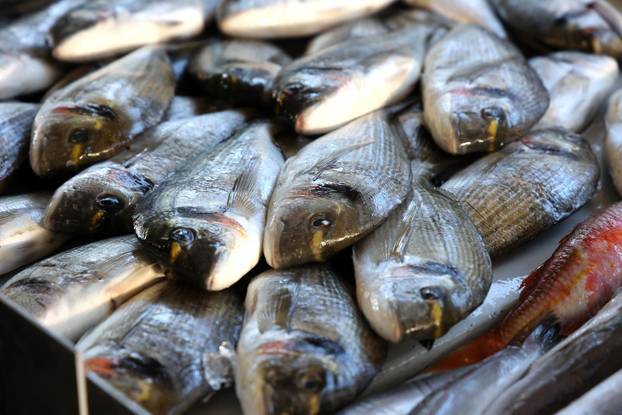 Šibenik: Ponuda ribe u šibenskoj ribarnici