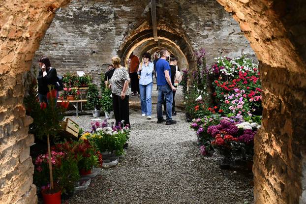 Slavonski Brod: Sajam cvijeća, sadnica, presadnica i cvijetnih dekoracija - Florafest 2026.