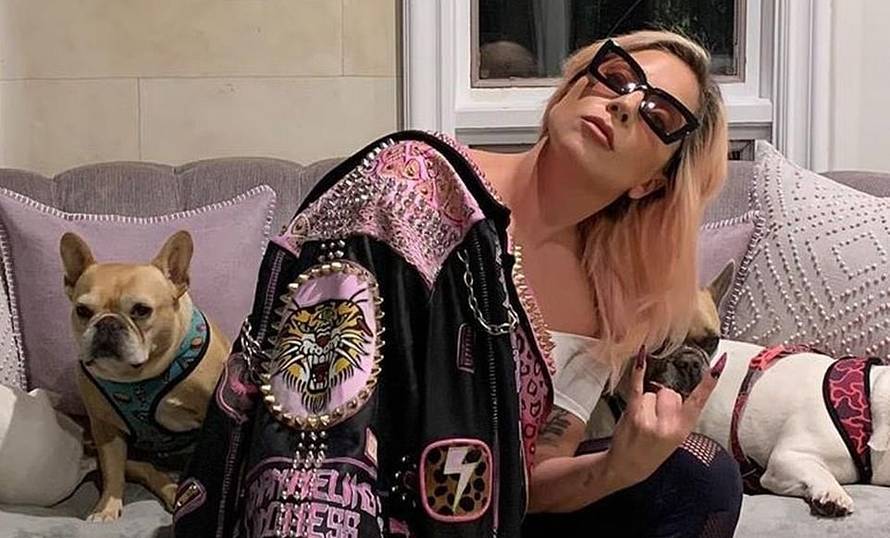 Šetaču pasa Lady Gage uklonili dio pluća nakon teške ozlijede