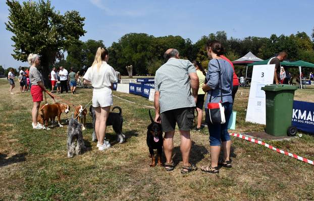 Požega: Nacionalna izložba pasa "CAC Požega 2024."
