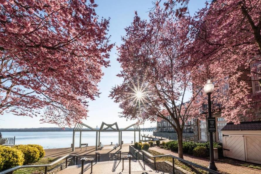 Neredi u Meksiku, Infantino ne bere brigu: 'SP će biti spektakl'