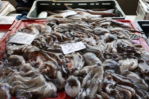 Šibenik: Bogata ponuda ribe na šibenskoj ribarnici