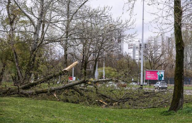 Zagreb: Olujno nevrijeme počupalo stabla na Bundeku 