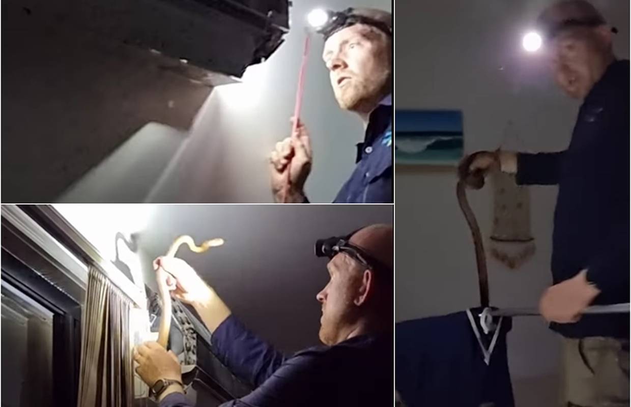 VIDEO Obitelj ostala šokirana prizorom, zmije se parile u klimi
