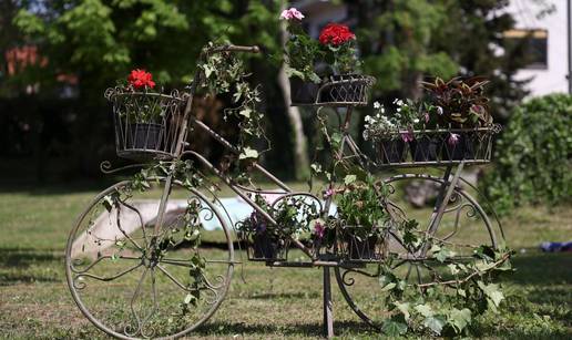 FOTO Sajam cvije&cacute;a u Dugom Selu: Kadrovi cvjetnog &scaron;arenila su sve &scaron;to vam danas treba