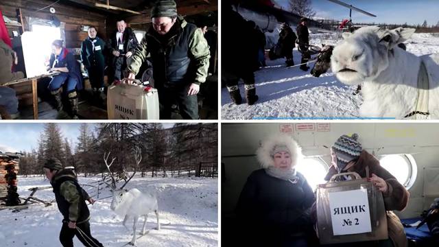 VIDEO Stočari u dalekom Sibiru već su glasovali na ruskim izborima: S njima bili i sobovi...