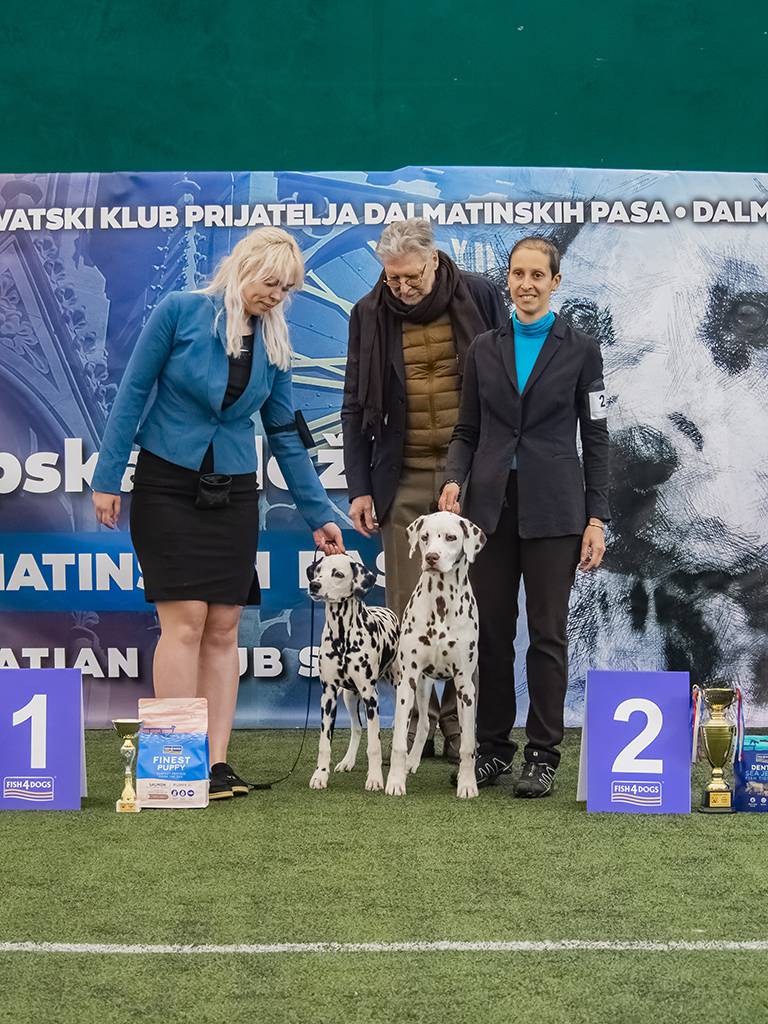 Na fešti dalmatinskih pasa ta je naša pasmina dobila svoje likere, čokolade, čak i vina!