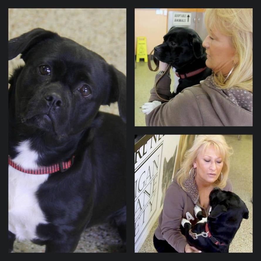 Michigan Humane Society