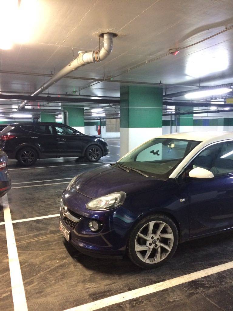 Autoprljaonica u Avenue Mallu: 'Sretna sam, to nije moj auto'