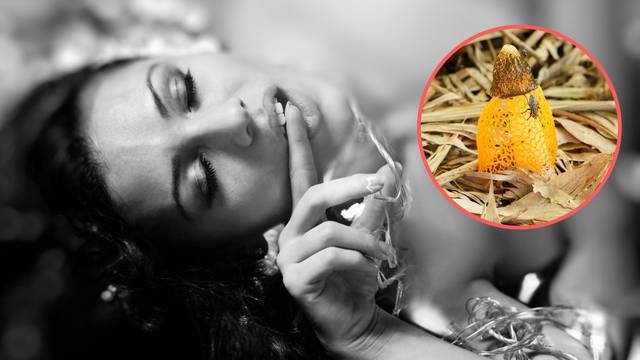 Žene doživljavaju orgazme čim osjete miris ove čudesne gljive