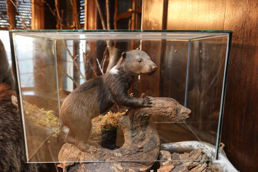 24SATA Izložba "100 godina hrvatskog lovstva" u Lovačkom muzeju