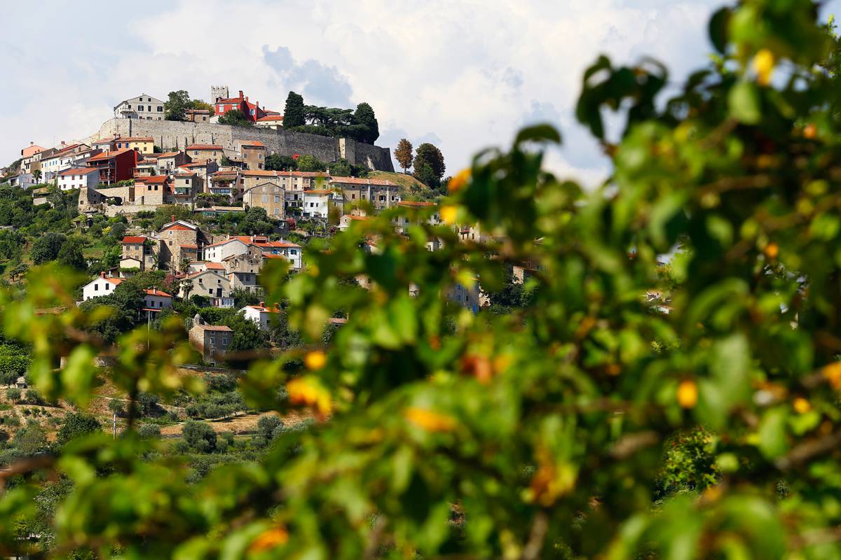 Puhovskog su nagradili za pola stoljeća filmske izdržljivosti