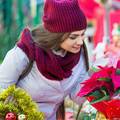 Kako kupiti zdravu božićnu zvijezdu i pravilno brinuti o njoj - da joj listovi brzo ne otpadnu