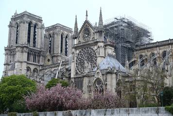 Notre Dame cathedral fire