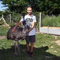 Zoološki vrt na obiteljskom imanju: 'Moj emu Shawn je jako miran i voli se maziti'