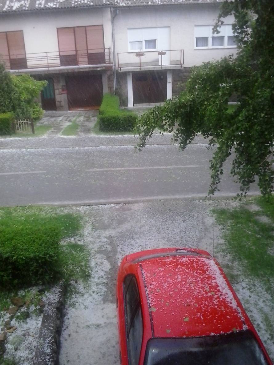 čitatelj 24sata
